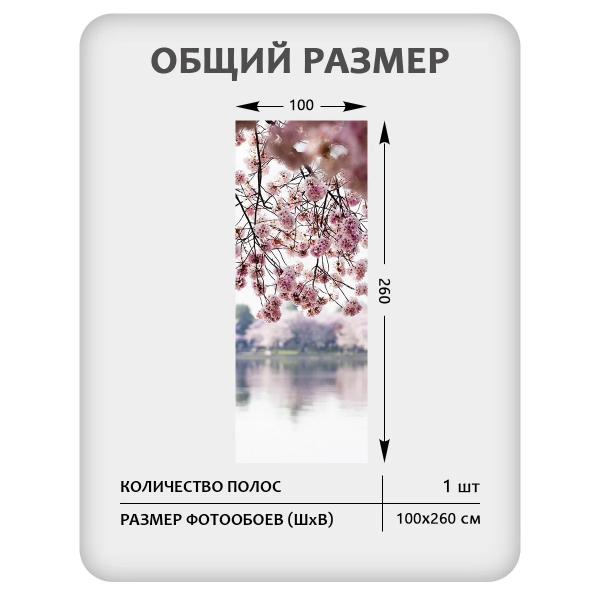 Фотообои рулонные Citydecor Цветы и Растения 49 на флизелиновой основе 100x260 см