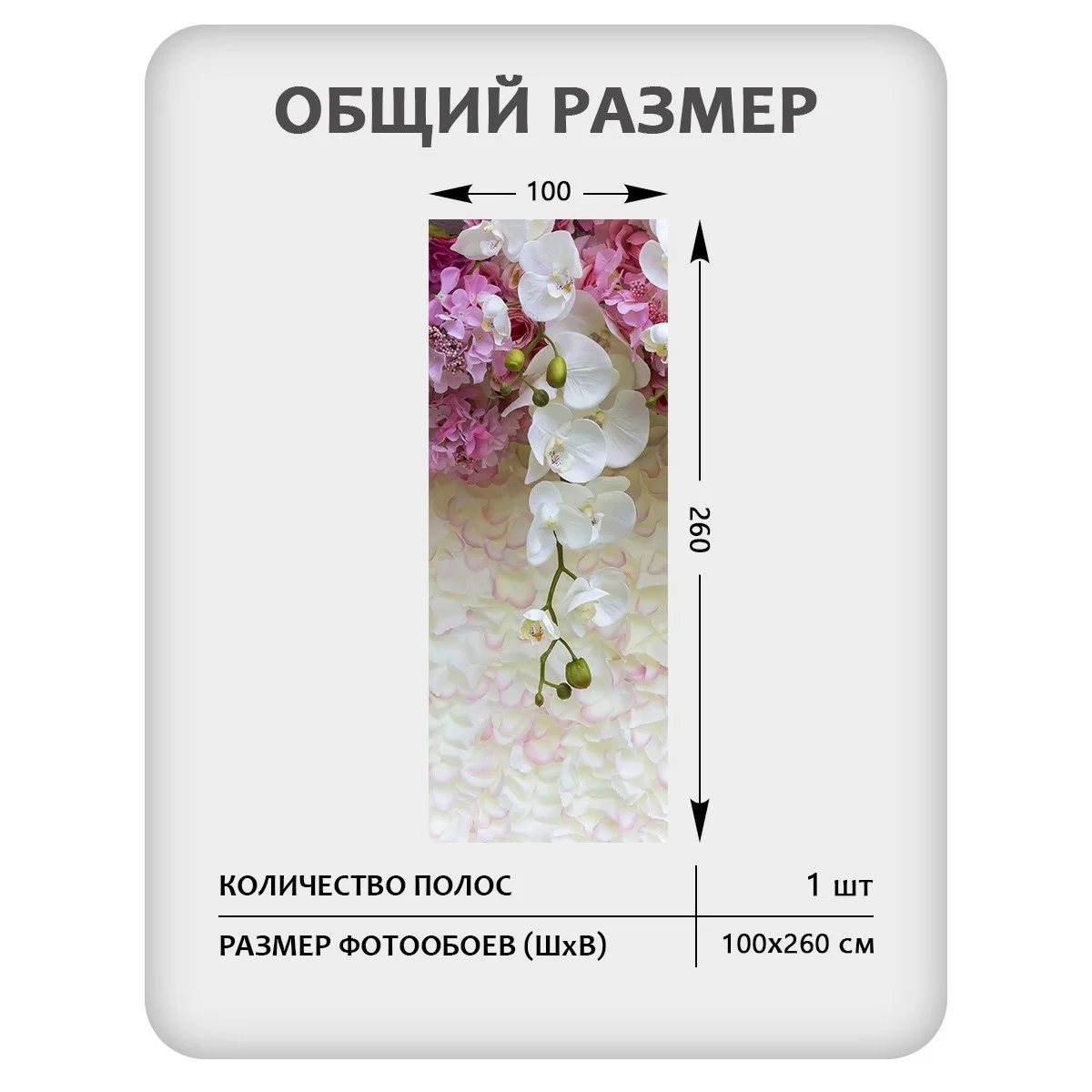 Фотообои рулонные Citydecor Цветы и Растения 50 на флизелиновой основе 100x260 см