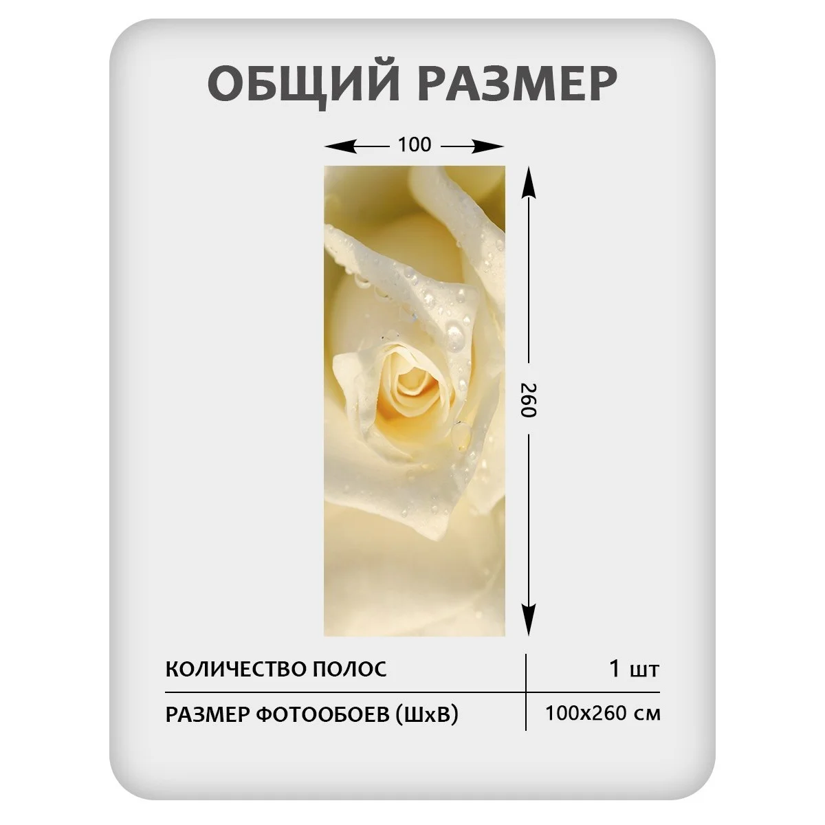 Фотообои рулонные Citydecor Цветы и Растения 65 на флизелиновой основе 100x260 см