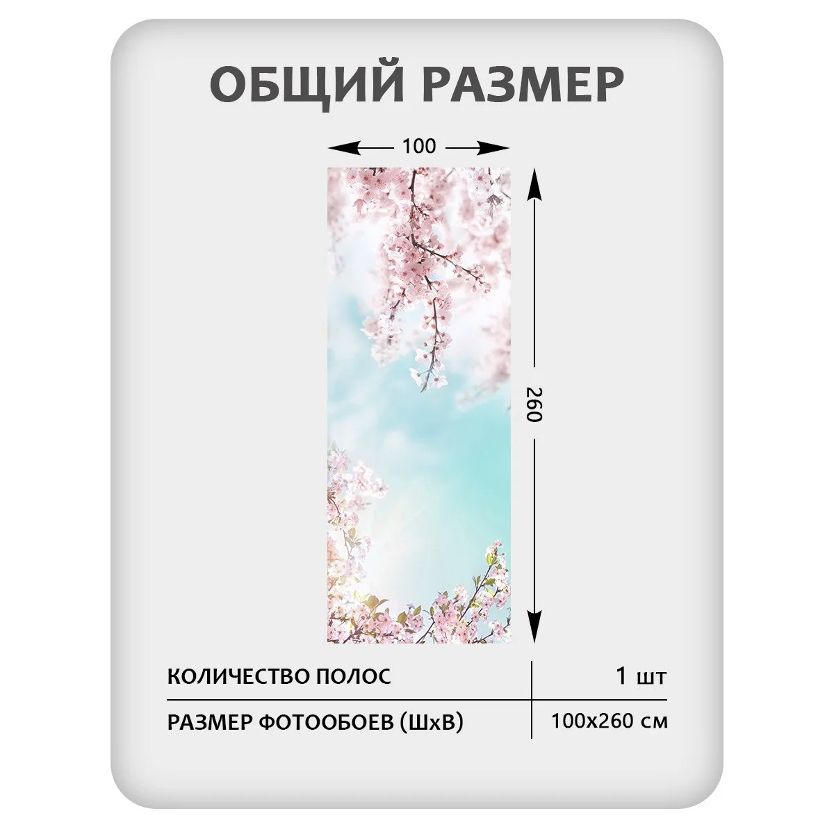 Фотообои рулонные Citydecor Цветы и Растения 67 на флизелиновой основе 100x260 см