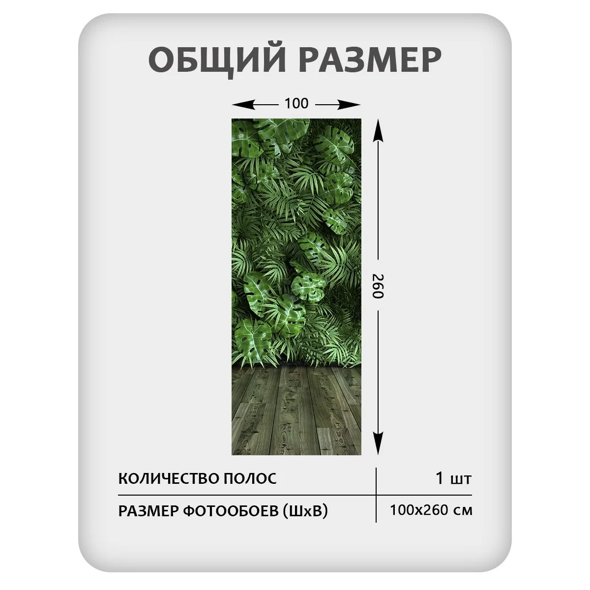 Фотообои рулонные Citydecor Цветы и Растения 71 на флизелиновой основе 100x260 см