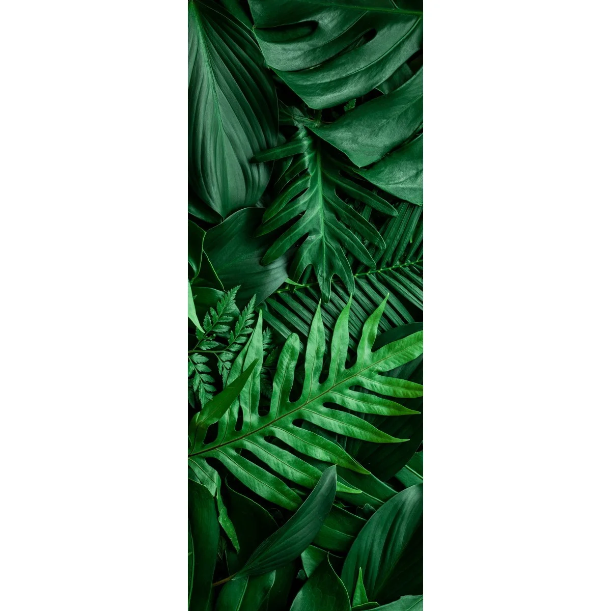 Фотообои рулонные Citydecor Цветы и Растения 73 на флизелиновой основе 100x260 см