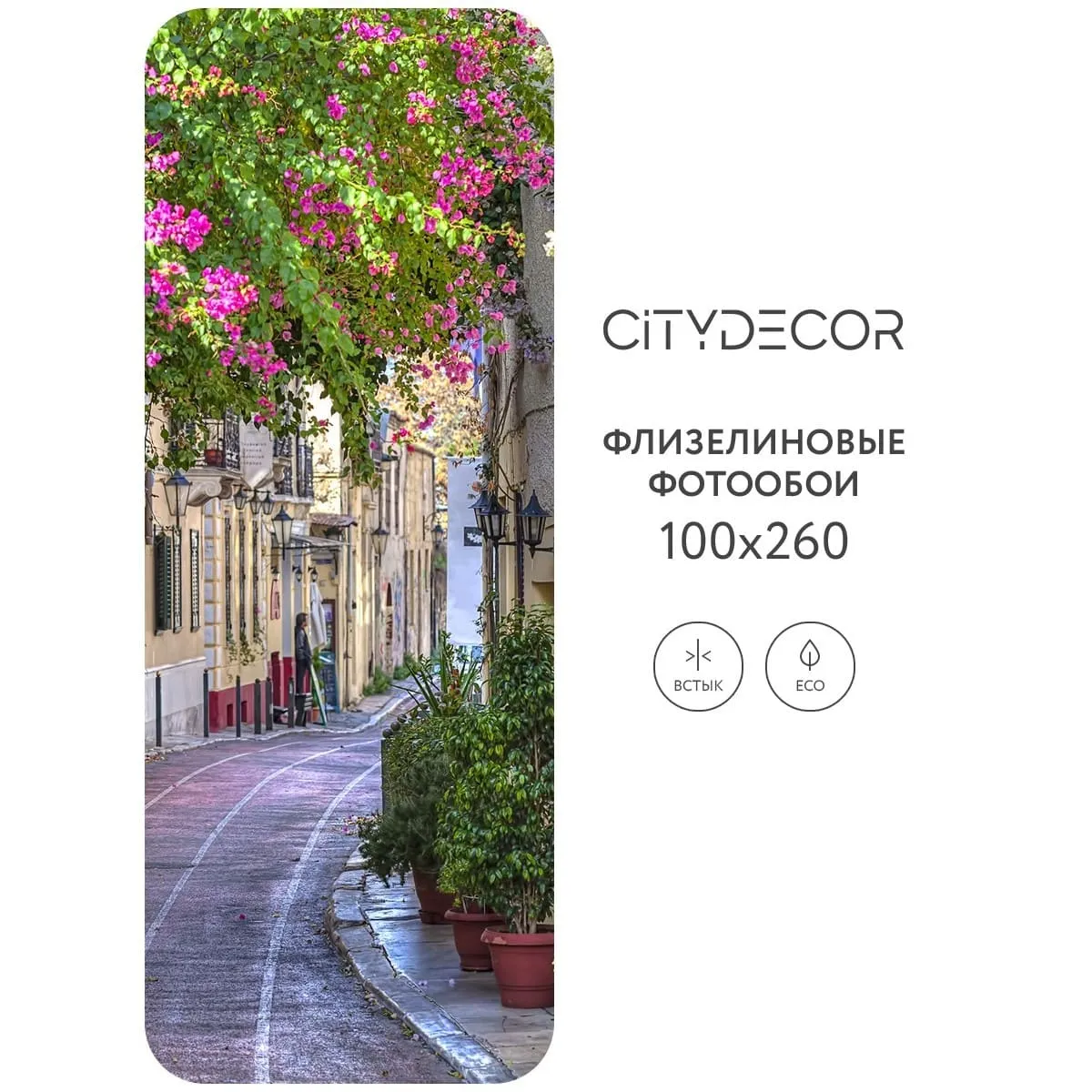 Фотообои рулонные Citydecor Фреска 54 на флизелиновой основе 100x260 см