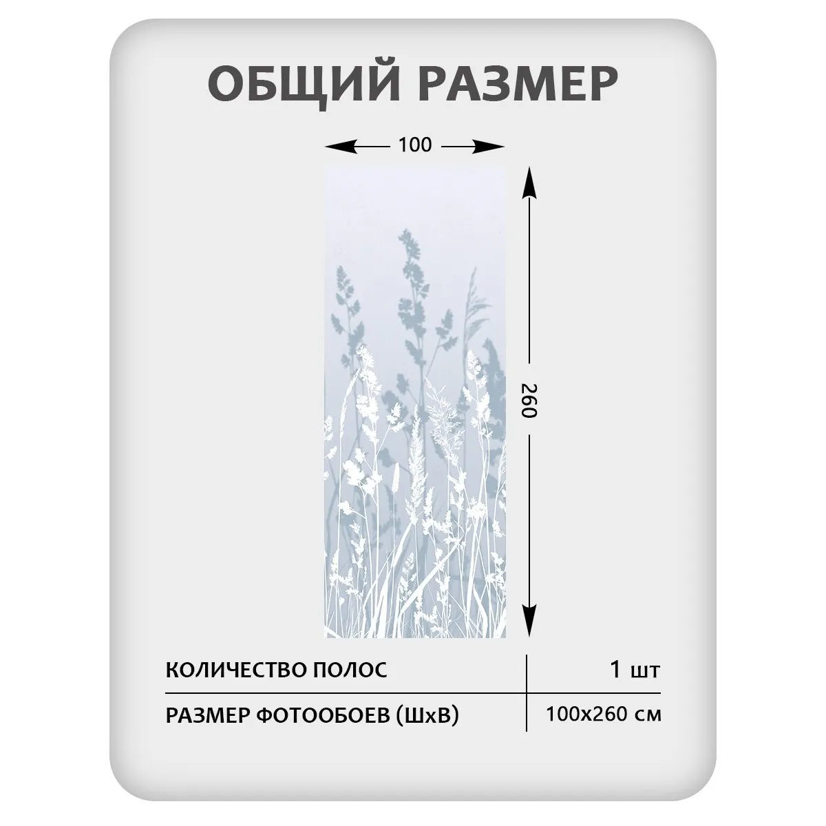 Фотообои рулонные Citydecor Невесомость 17 на флизелиновой основе 100x260 см