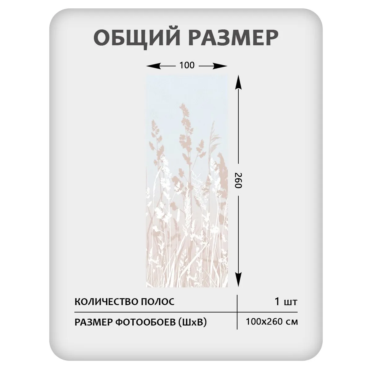 Фотообои рулонные Citydecor Невесомость 19 на флизелиновой основе 100x260 см