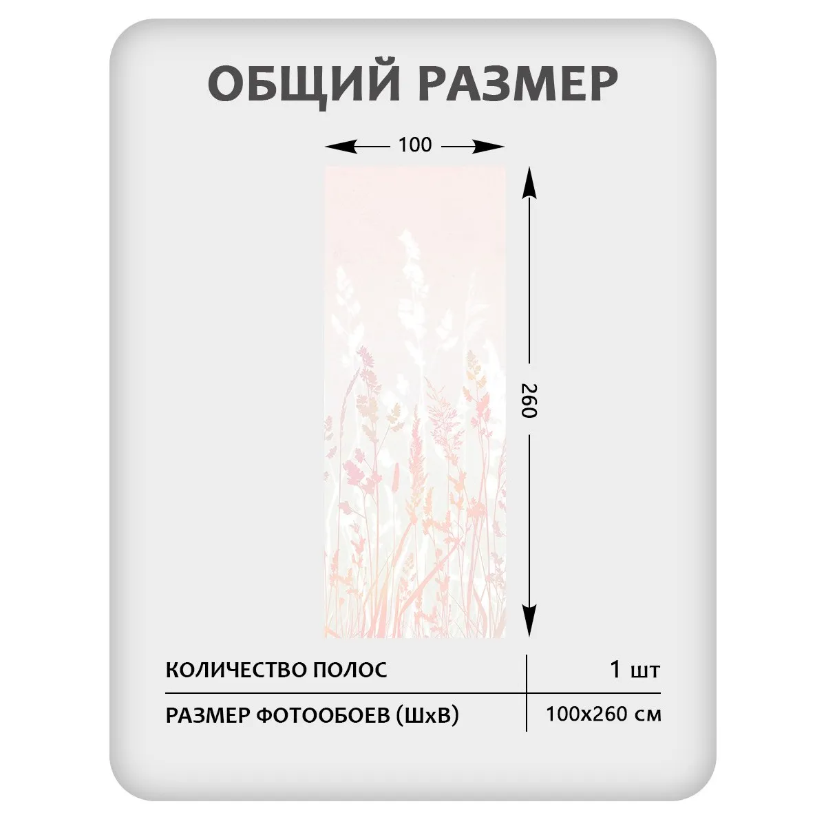 Фотообои рулонные Citydecor Невесомость 20 на флизелиновой основе 100x260 см