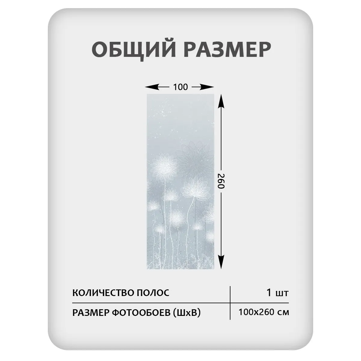 Фотообои рулонные Citydecor Невесомость 42 на флизелиновой основе 100x260 см