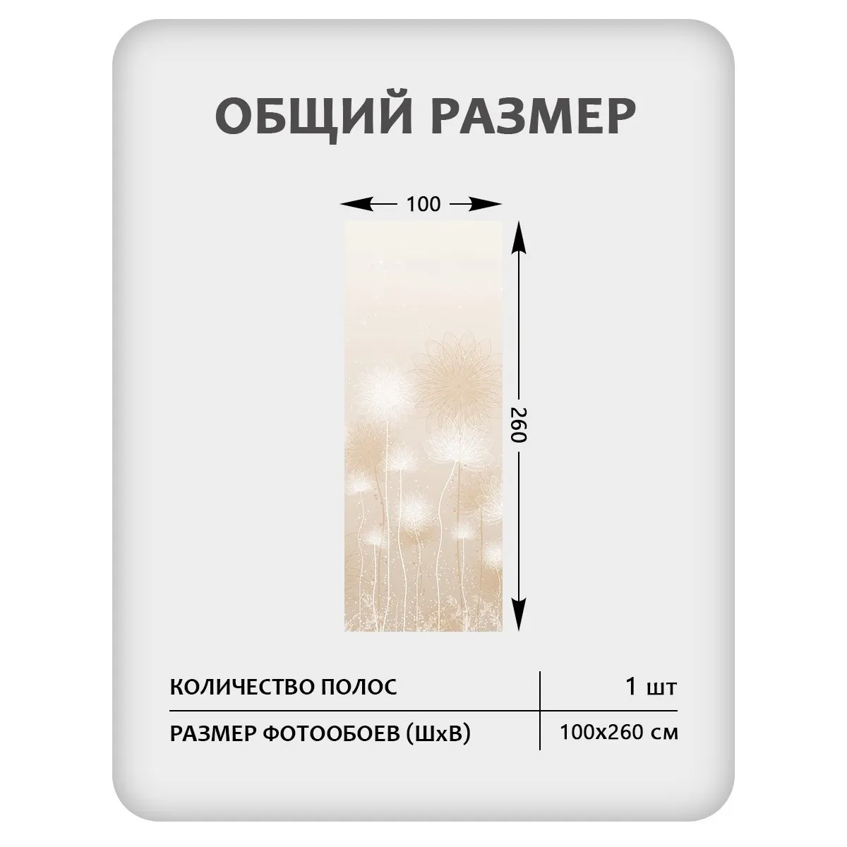 Фотообои рулонные Citydecor Невесомость 43 на флизелиновой основе 100x260 см