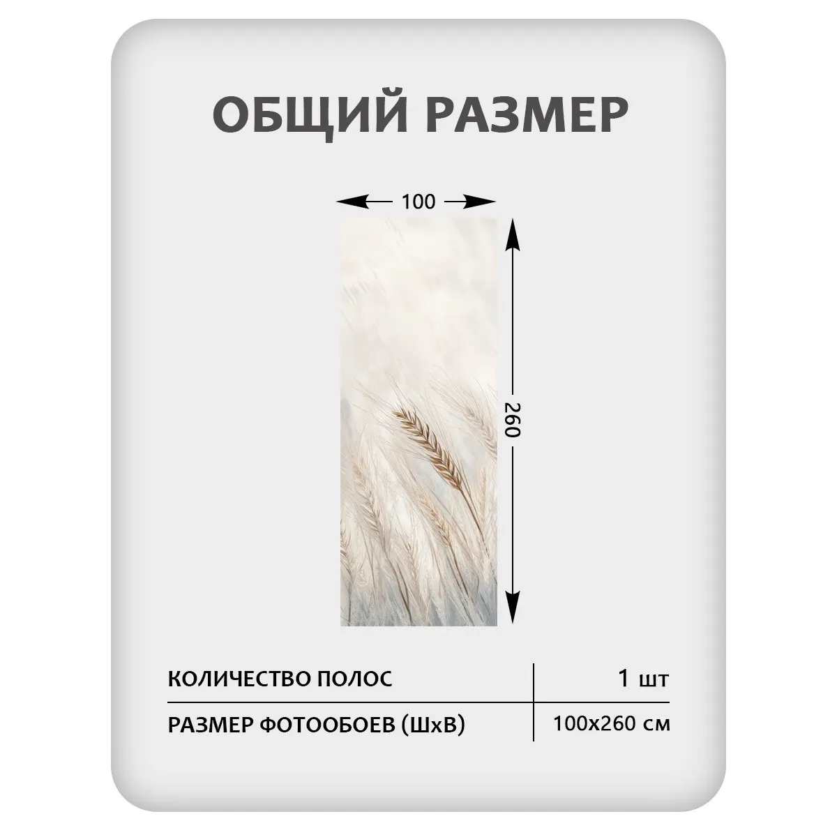 Фотообои рулонные Citydecor Невесомость 45 на флизелиновой основе 100x260 см