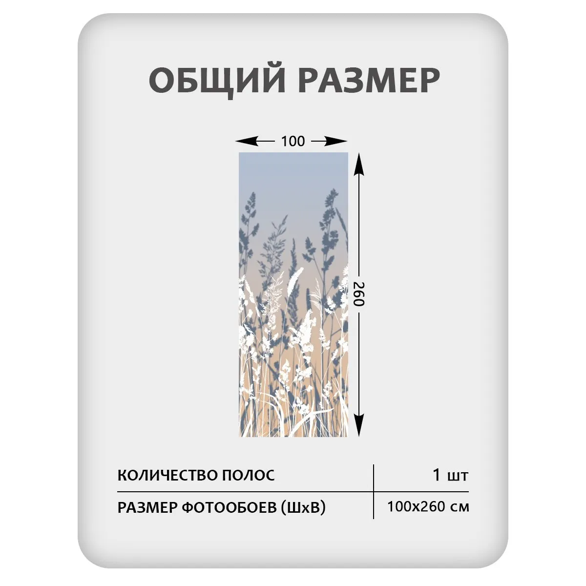 Фотообои рулонные Citydecor Невесомость 46 на флизелиновой основе 100x260 см