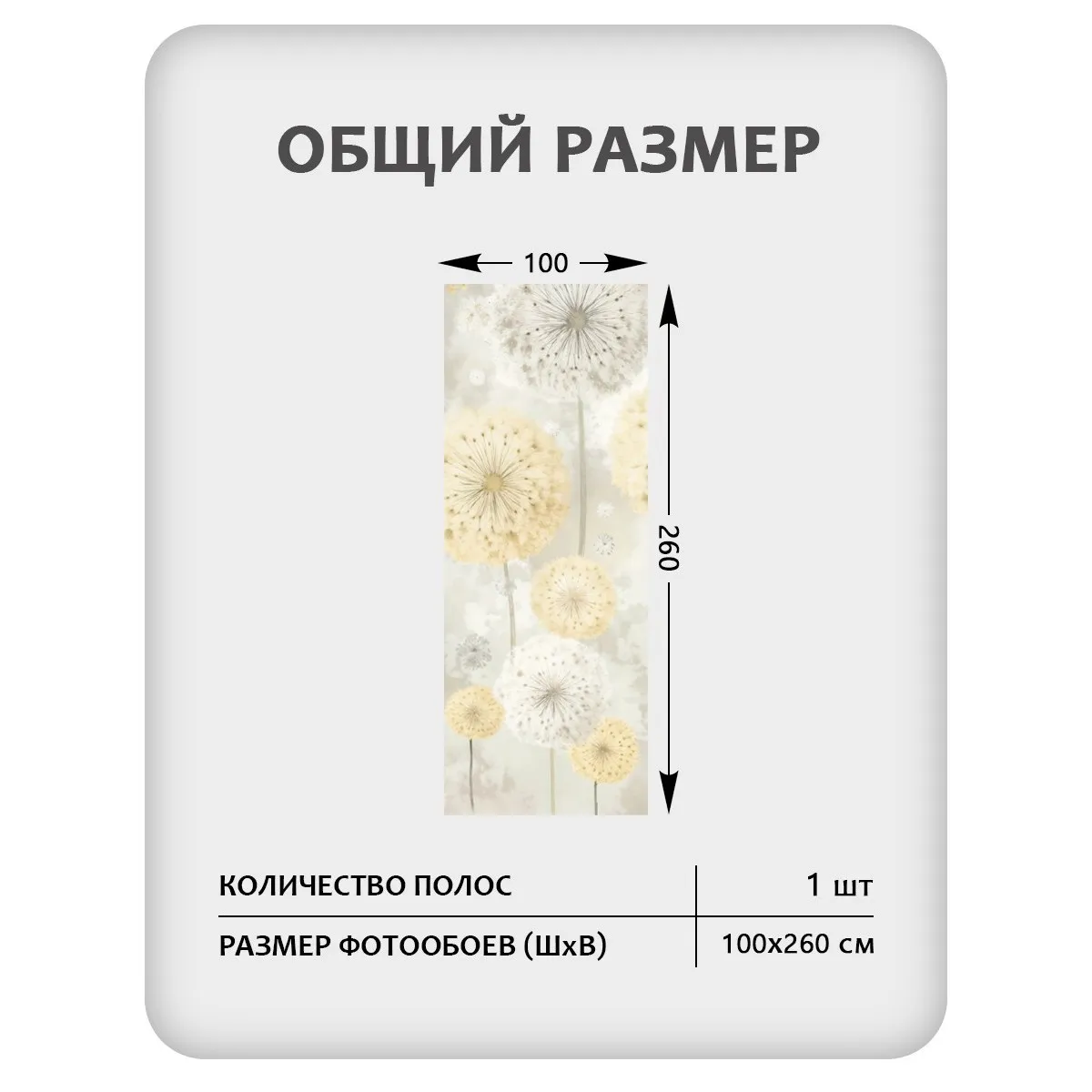 Фотообои рулонные Citydecor Невесомость 47 на флизелиновой основе 100x260 см