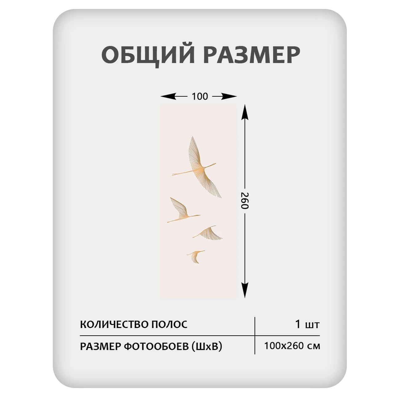 Фотообои рулонные Citydecor Perfect Lines 67 на флизелиновой основе 100x260 см