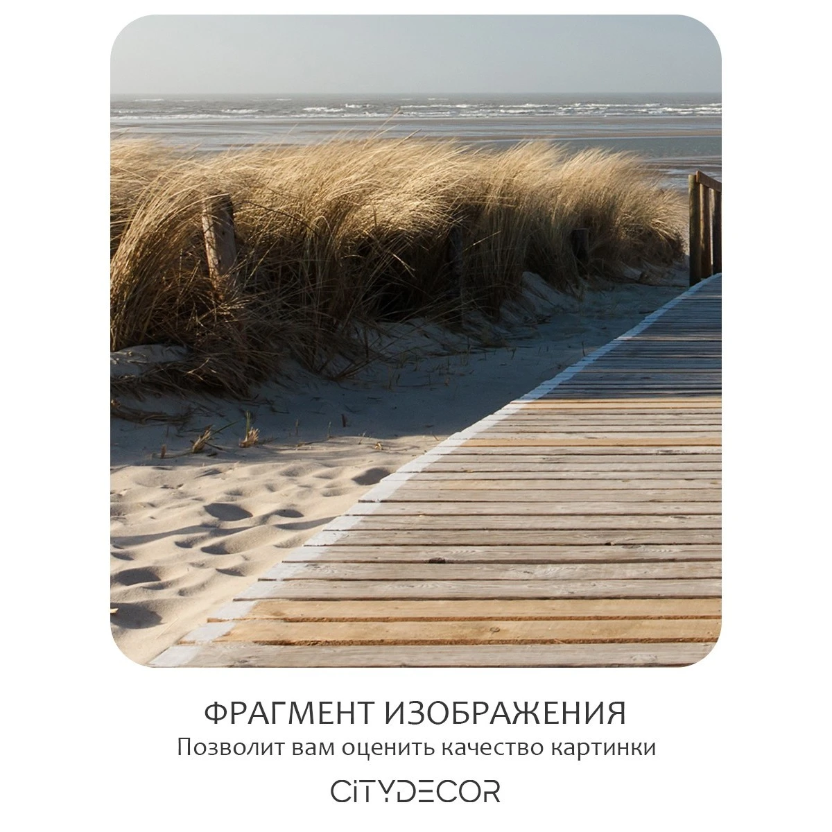 Фотообои рулонные Citydecor Природа 13 на флизелиновой основе 100x260 см