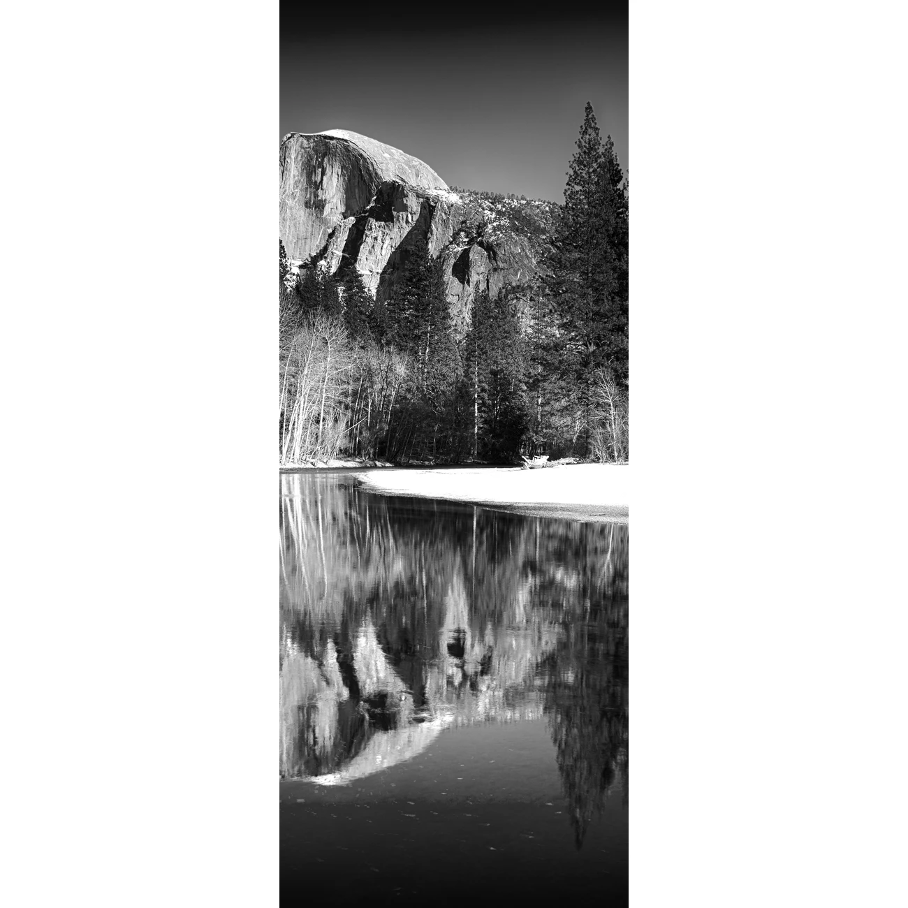 Фотообои рулонные Citydecor Природа 146 на флизелиновой основе 100x260 см