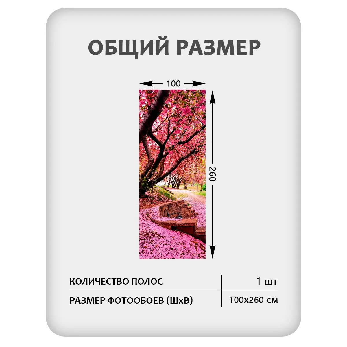 Фотообои рулонные Citydecor Природа 148 на флизелиновой основе 100x260 см