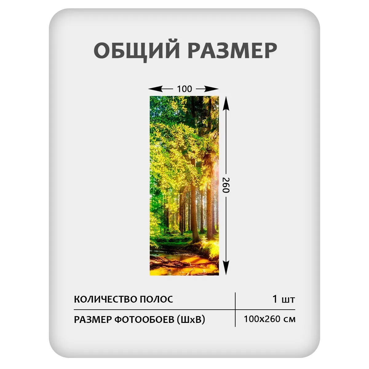 Фотообои рулонные Citydecor Природа 149 на флизелиновой основе 100x260 см