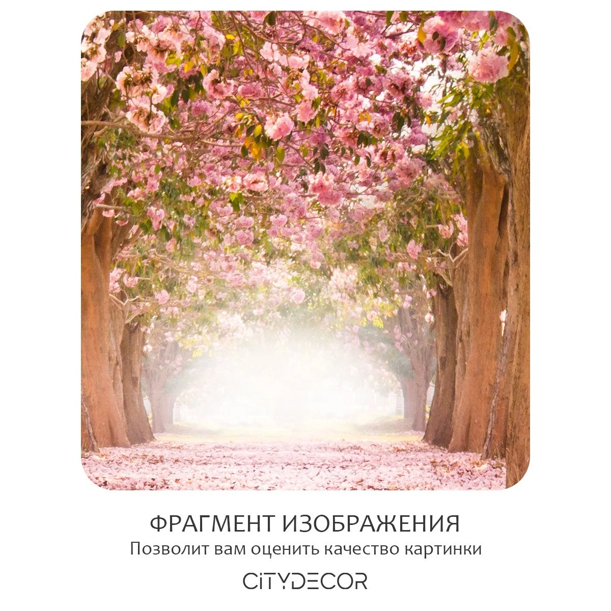 Фотообои рулонные Citydecor Природа 14 на флизелиновой основе 100x260 см