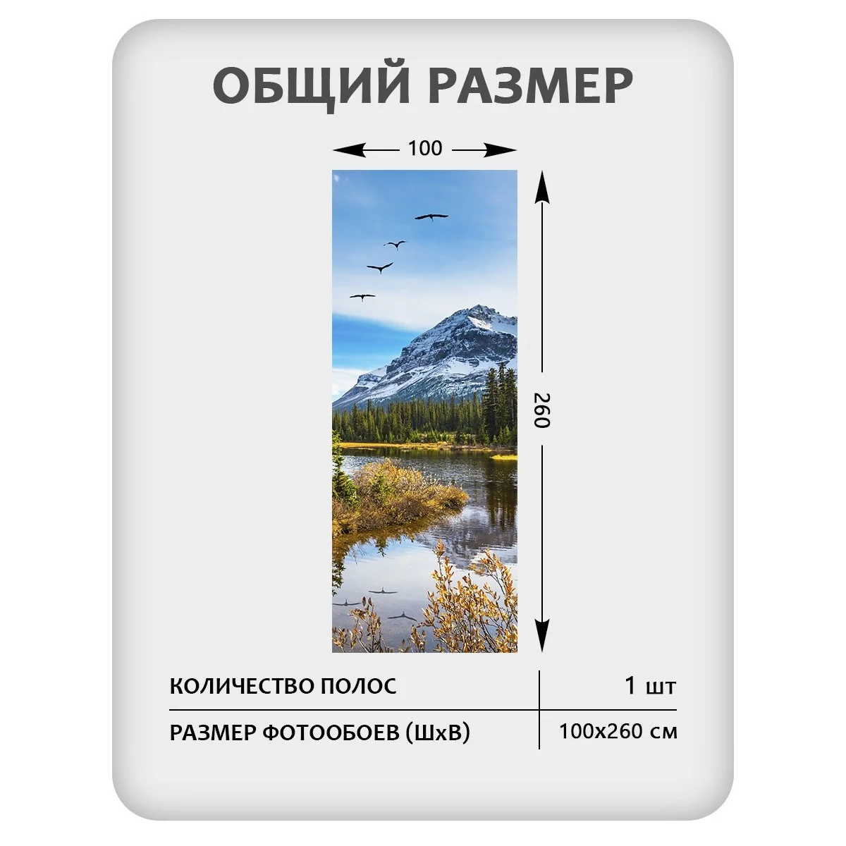 Фотообои рулонные Citydecor Природа 30 на флизелиновой основе 100x260 см