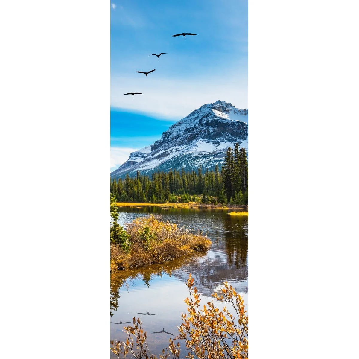 Фотообои рулонные Citydecor Природа 30 на флизелиновой основе 100x260 см