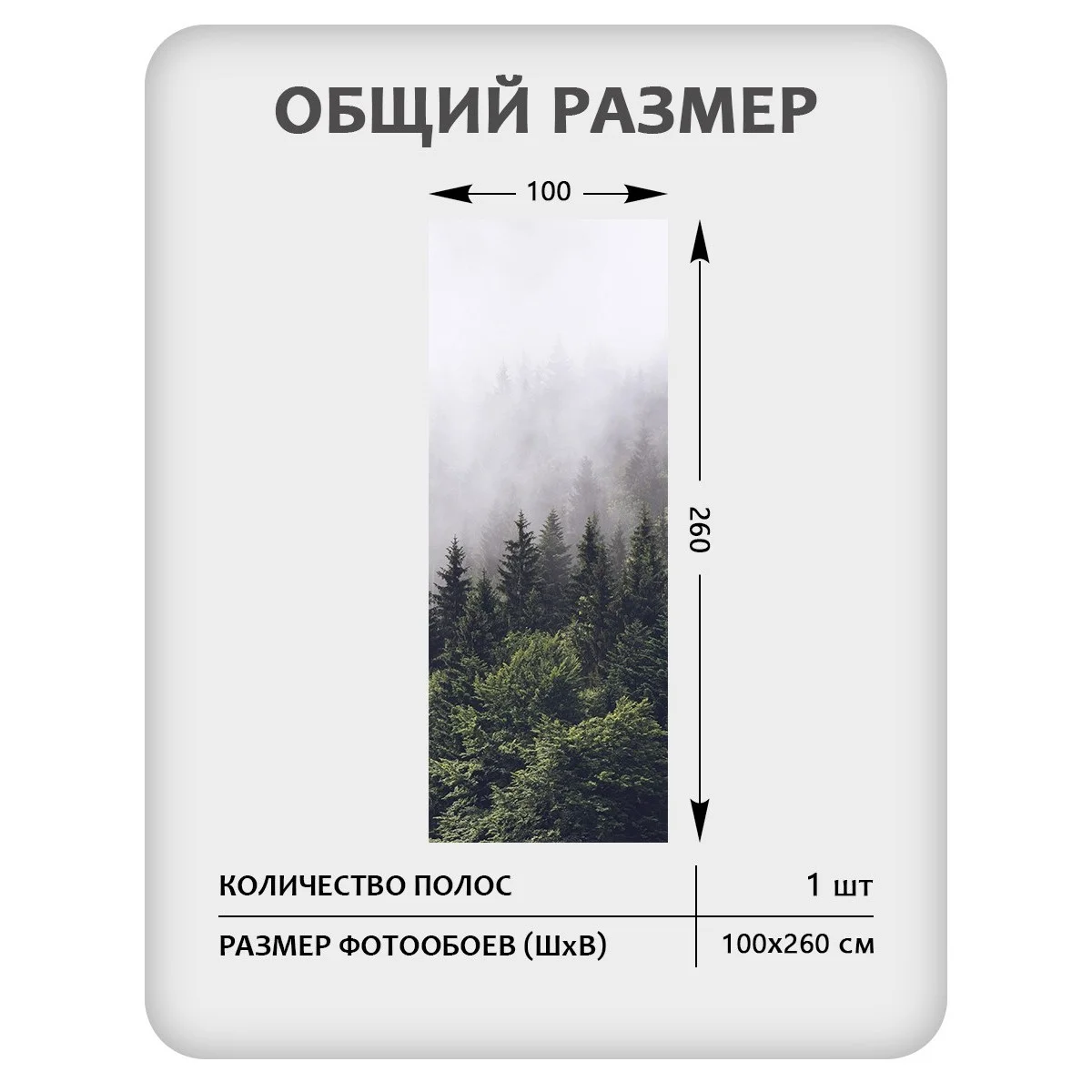 Фотообои рулонные Citydecor Природа 32 на флизелиновой основе 100x260 см