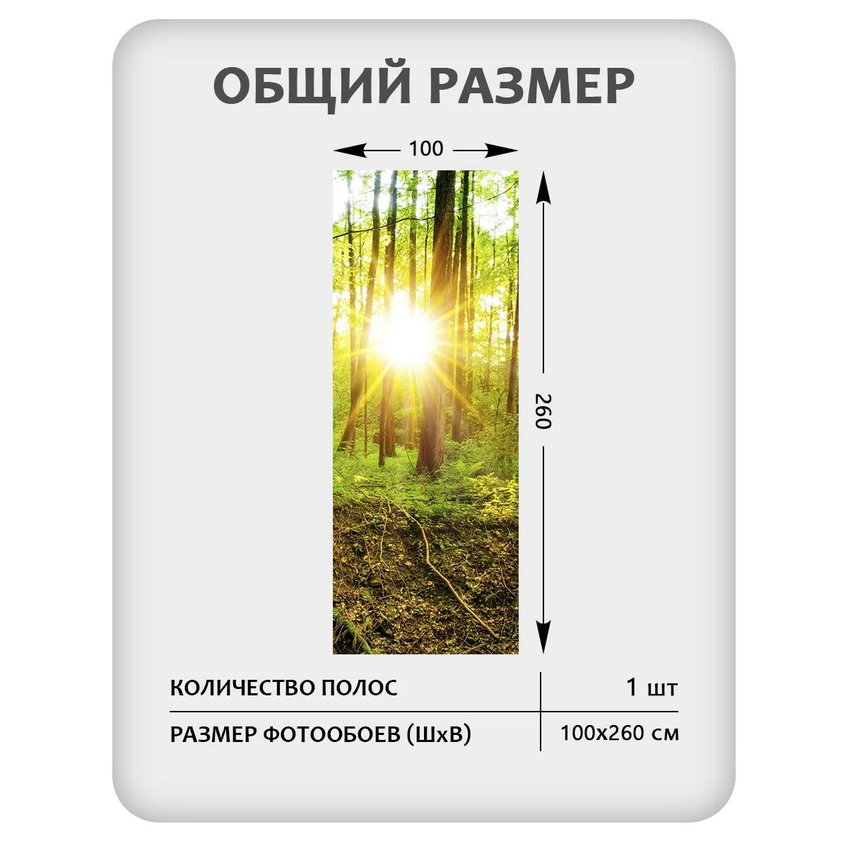 Фотообои рулонные Citydecor Природа 37 на флизелиновой основе 100x260 см