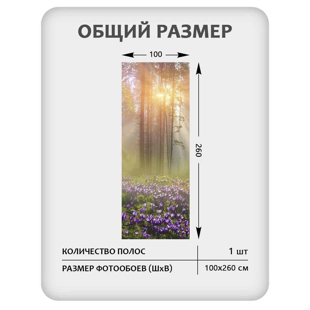 Фотообои рулонные Citydecor Природа 39 на флизелиновой основе 100x260 см