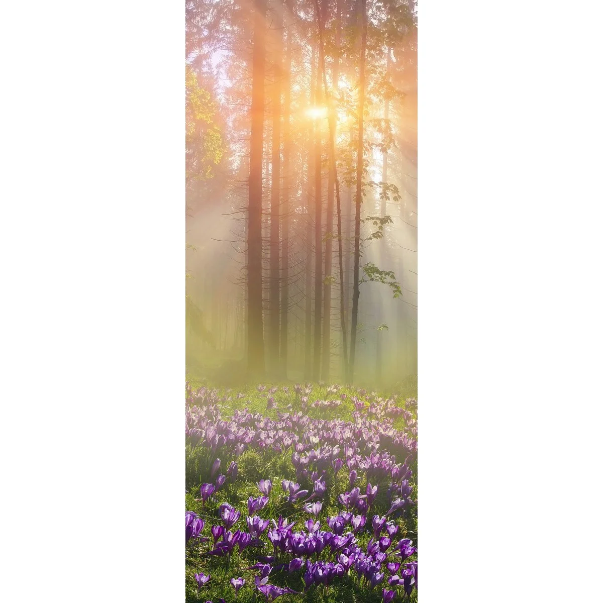 Фотообои рулонные Citydecor Природа 39 на флизелиновой основе 100x260 см