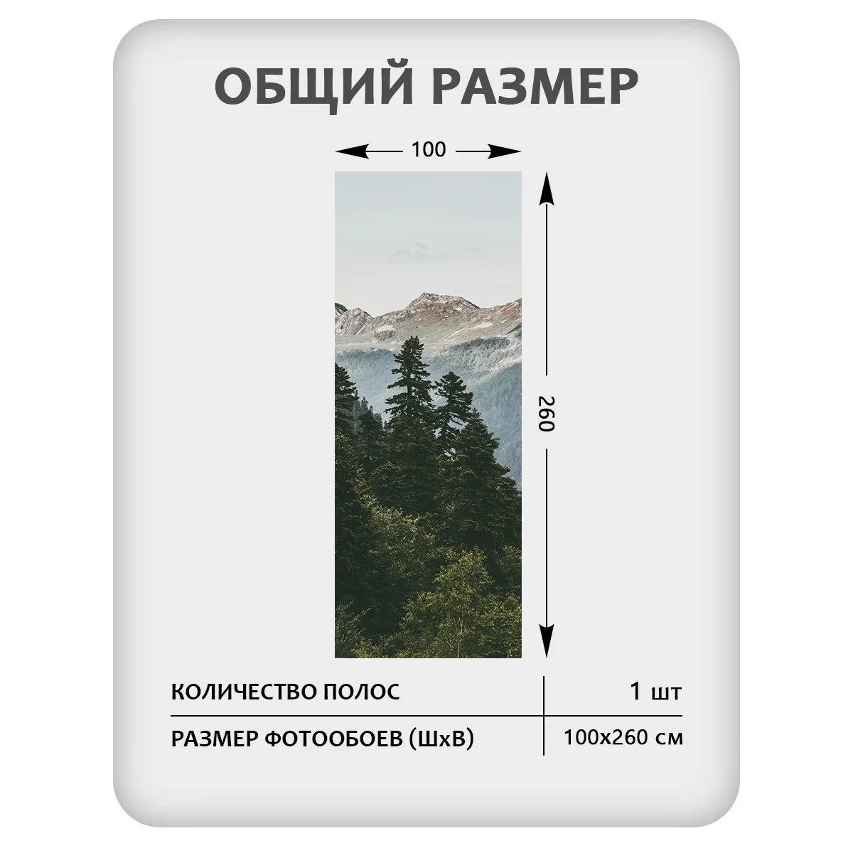 Фотообои рулонные Citydecor Природа 52 на флизелиновой основе 100x260 см