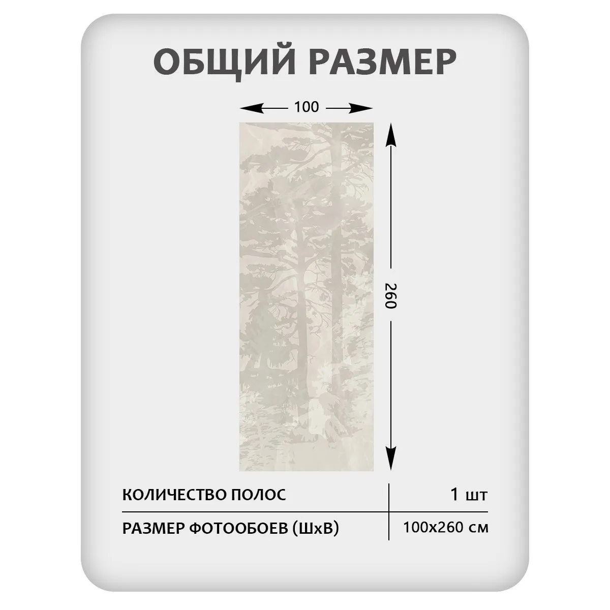 Фотообои рулонные Citydecor Таинственный лес 21 на флизелиновой основе 100x260 см