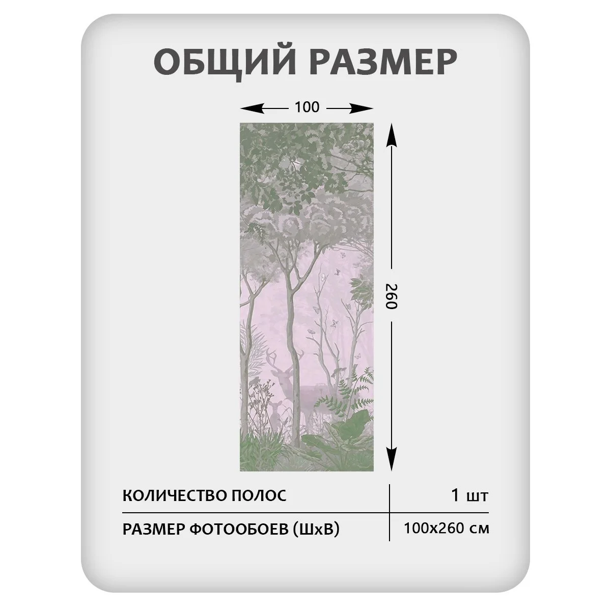 Дизайнерские фотообои рулонные Таинственный лес 5 на флизелиновой основе 100x260 см