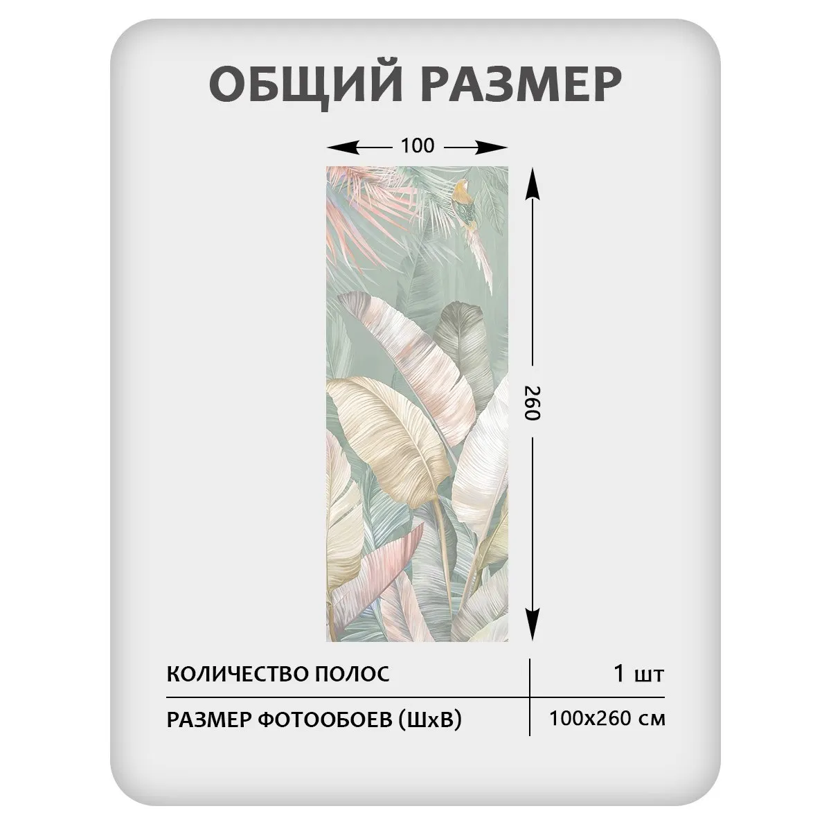 Фотообои рулонные Citydecor Знойные тропики 24 на флизелиновой основе 100x260 см