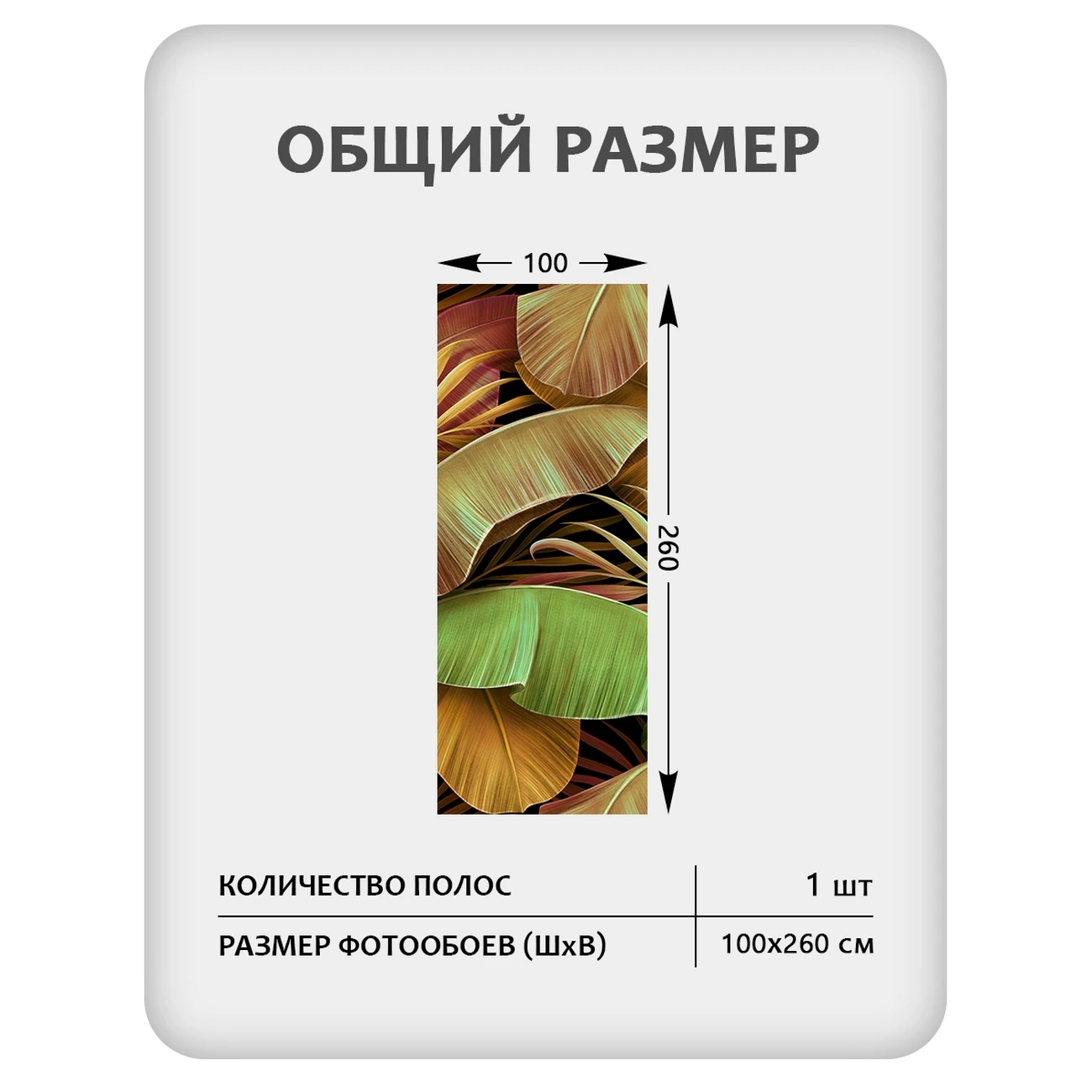 Фотообои рулонные Citydecor Знойные тропики 50 на флизелиновой основе 100x260 см