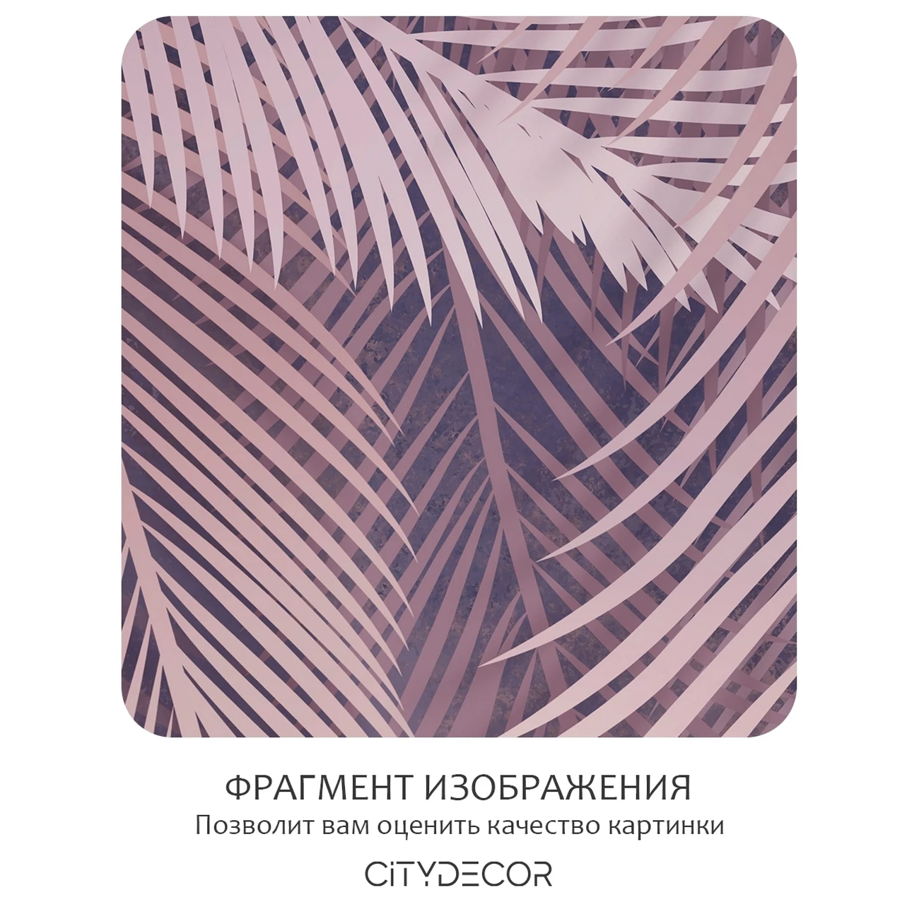 Фотообои рулонные Citydecor Пальмовые листья 81 на флизелиновой основе 200x140 см