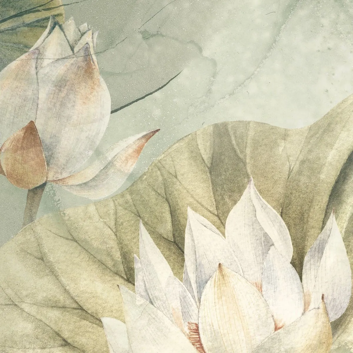 Дизайнерские фотообои рулонные Citydecor Blossom 24 на флизелиновой основе 200x140 см