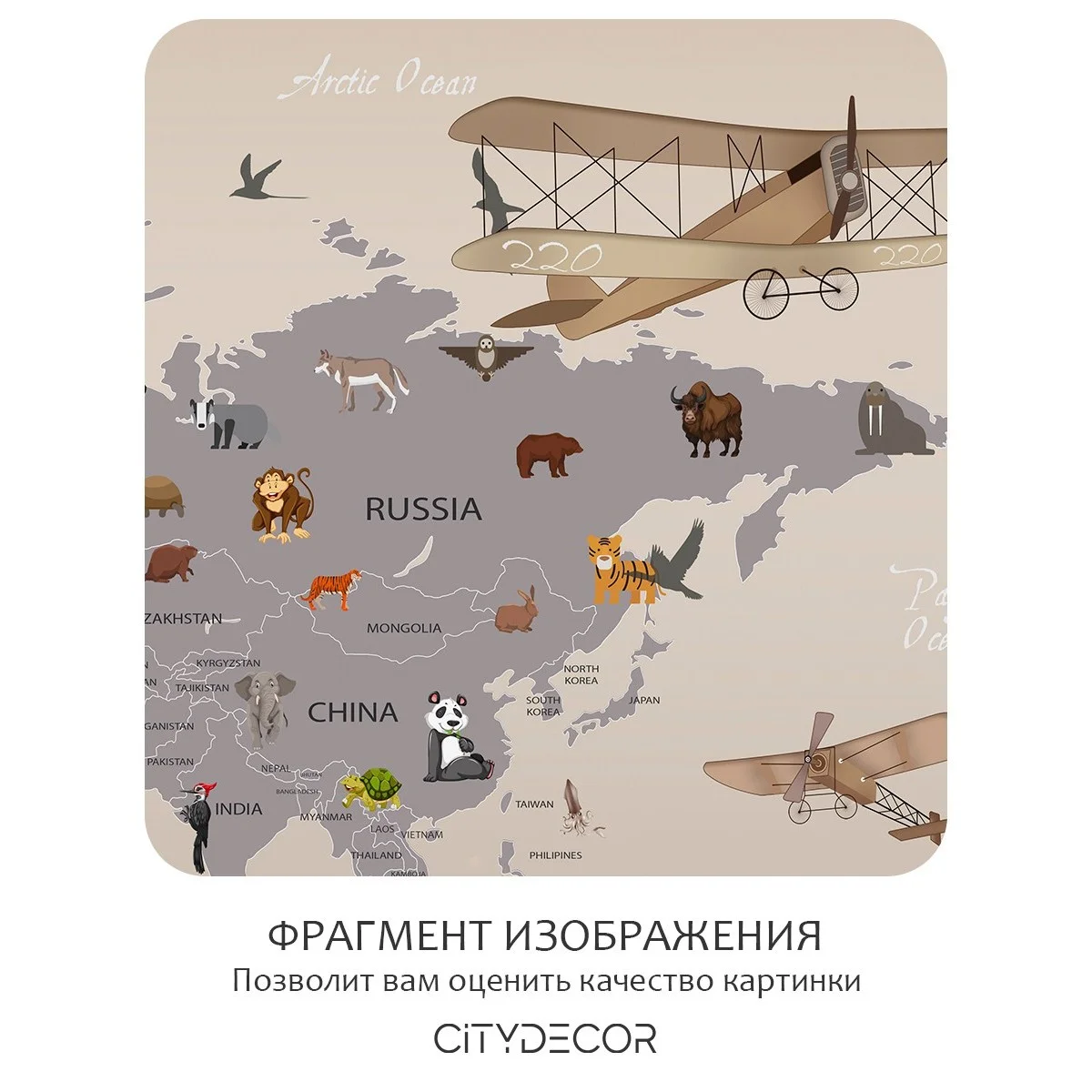 Фотообои рулонные Citydecor Детская (карта мира) 116 на флизелиновой основе 200x140 см