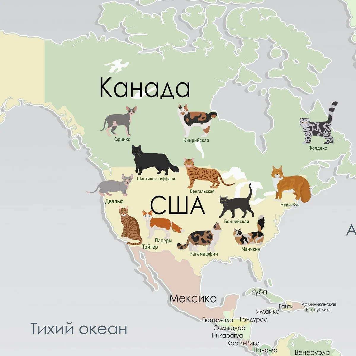 Дизайнерские фотообои рулонные Citydecor Детская (карта мира) 386 на флизелиновой основе 200x140 см