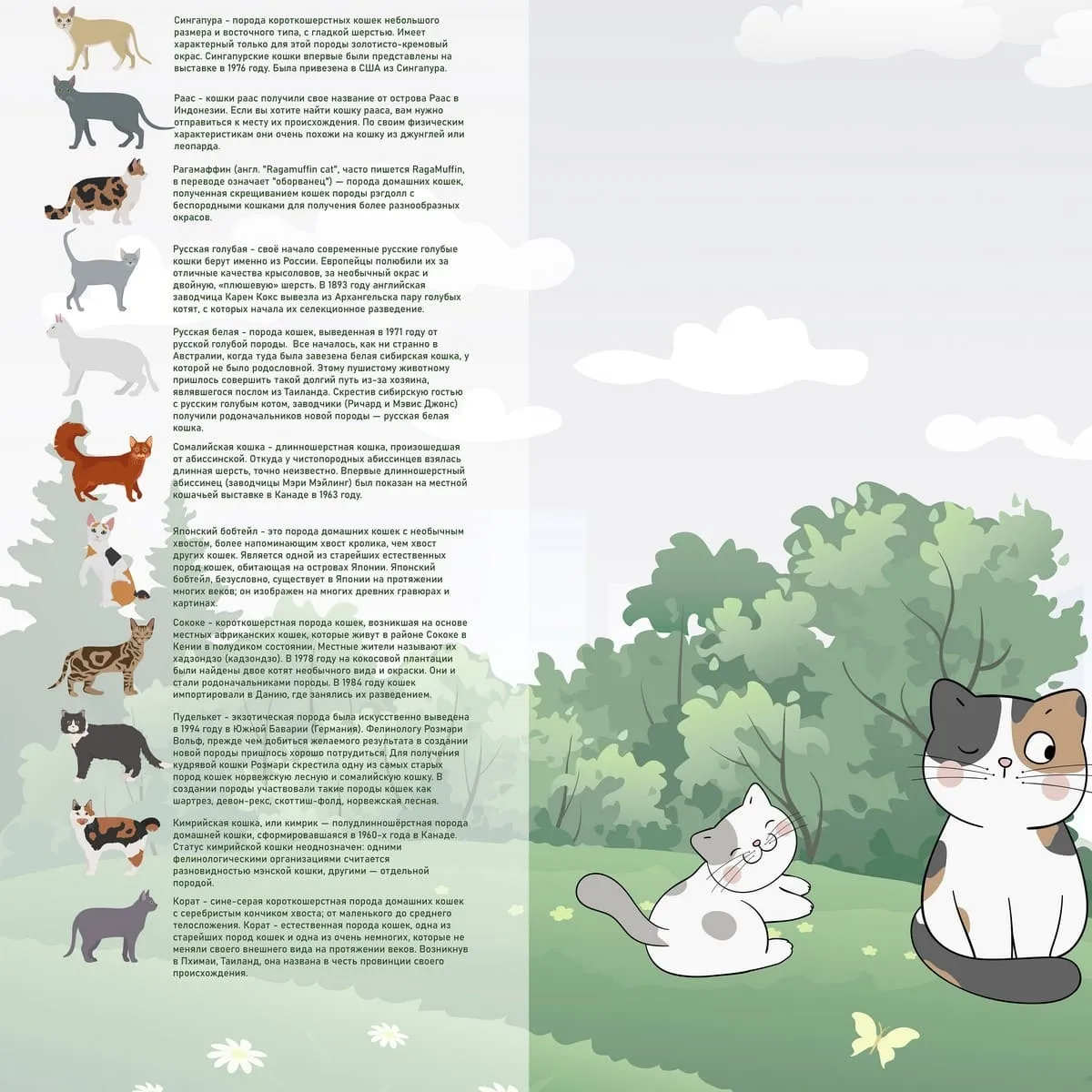 Дизайнерские фотообои рулонные Citydecor Детская (карта мира) 386 на флизелиновой основе 200x140 см