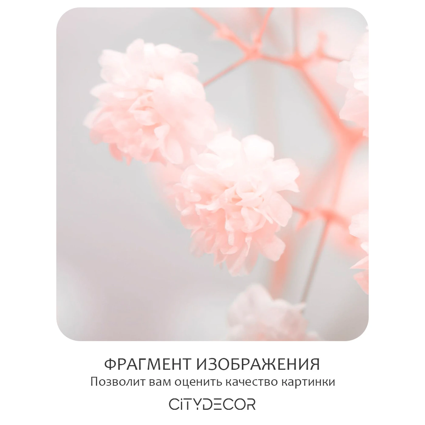 Фотообои рулонные Citydecor Цветы и Растения 168 на флизелиновой основе 200x140 см