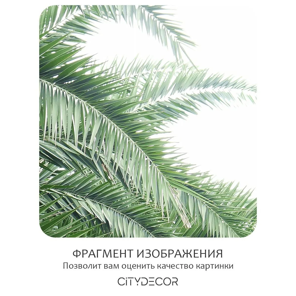 Фотообои рулонные Citydecor Цветы и Растения 203 на флизелиновой основе 200x140 см