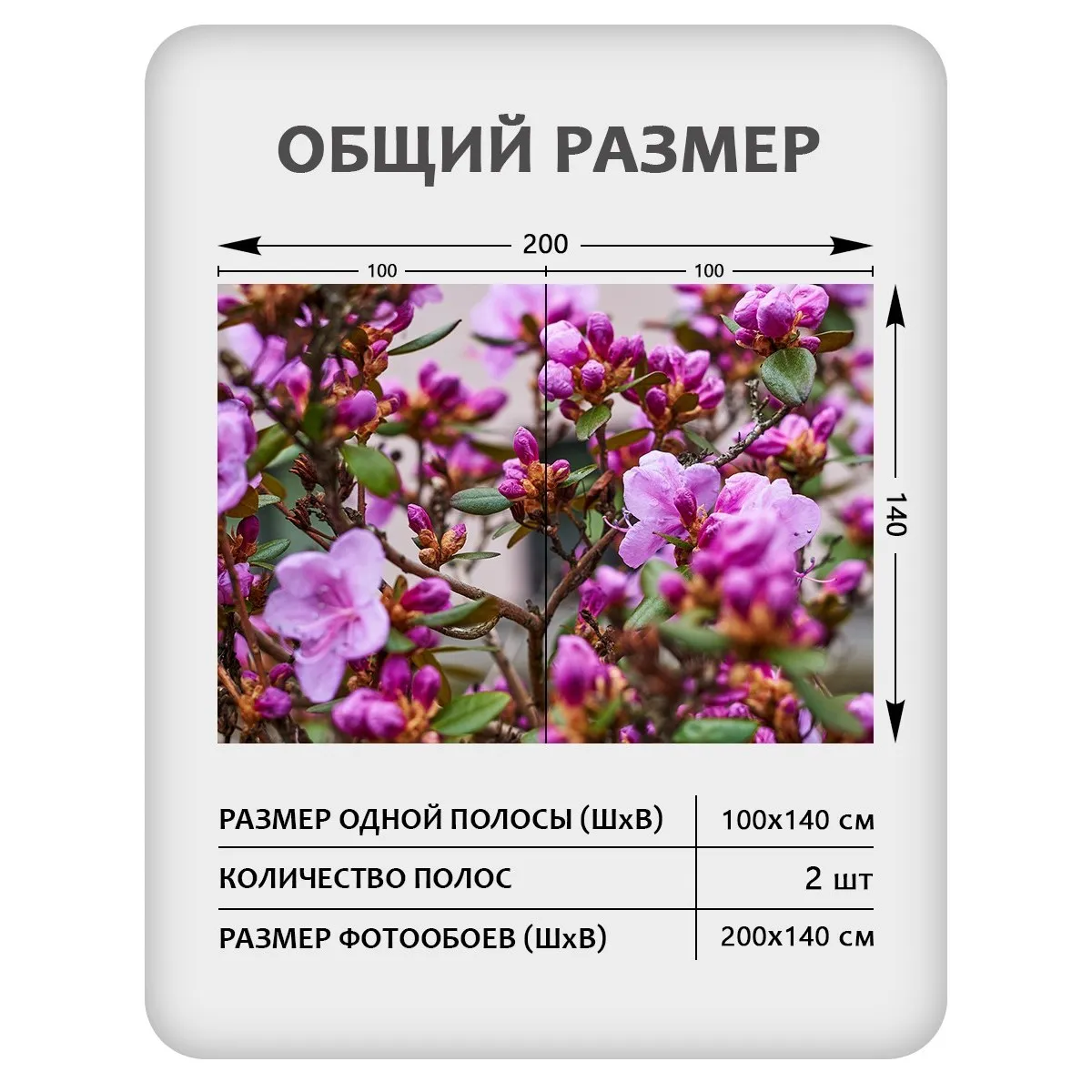 Фотообои рулонные Citydecor Цветы и Растения 204 на флизелиновой основе 200x140 см