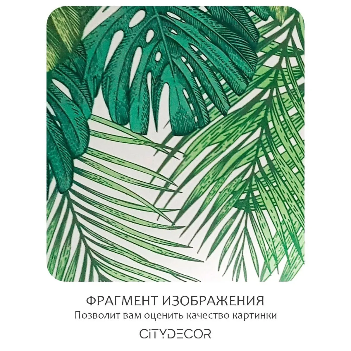 Фотообои рулонные Citydecor Цветы и Растения 237 на флизелиновой основе 200x140 см