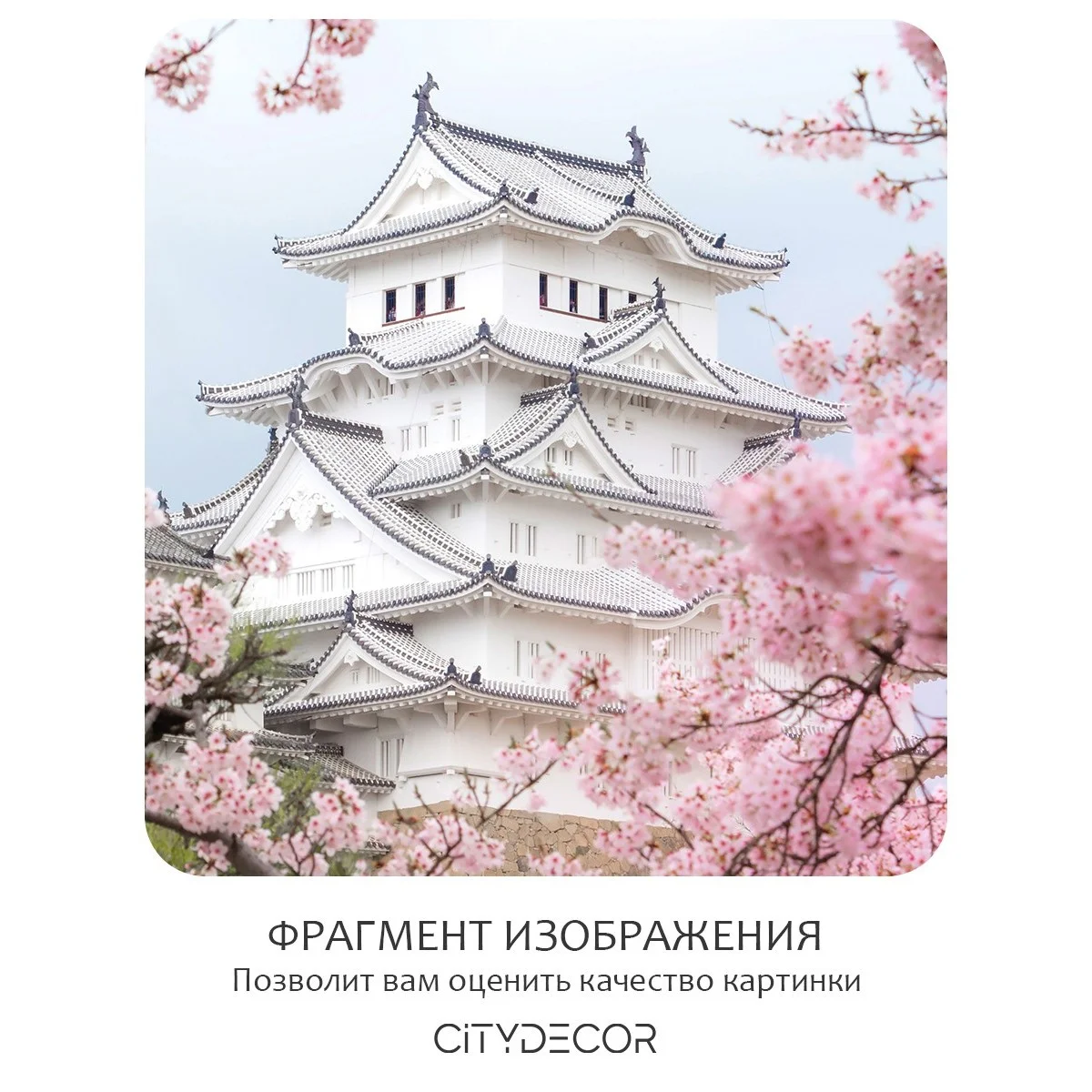 Фотообои рулонные Citydecor Цветы и Растения 33 на флизелиновой основе 200x140 см