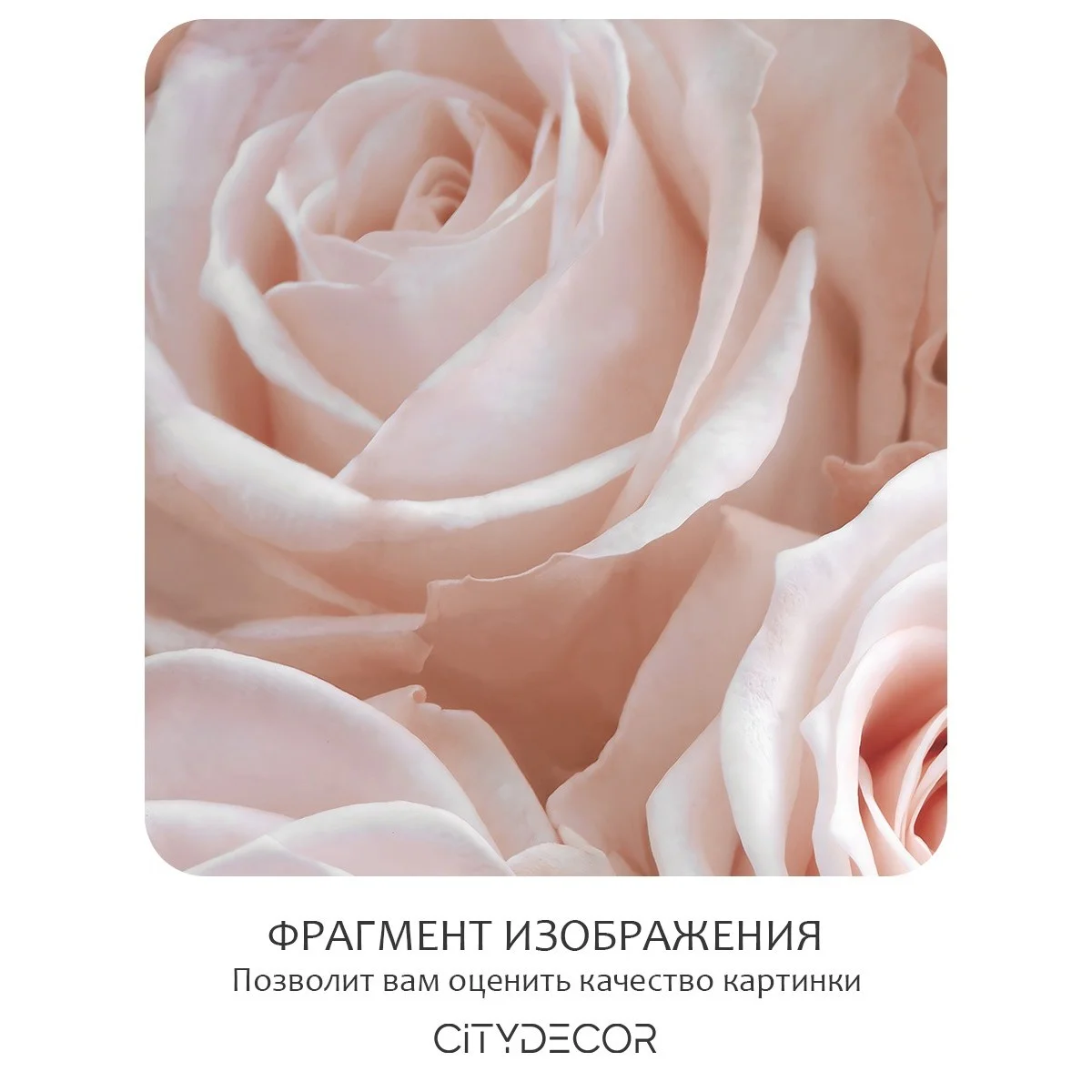 Фотообои рулонные Citydecor Цветы и Растения 36 на флизелиновой основе 200x140 см