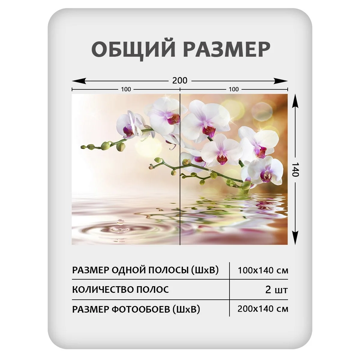 Фотообои рулонные Citydecor Цветы и Растения 38 на флизелиновой основе 200x140 см