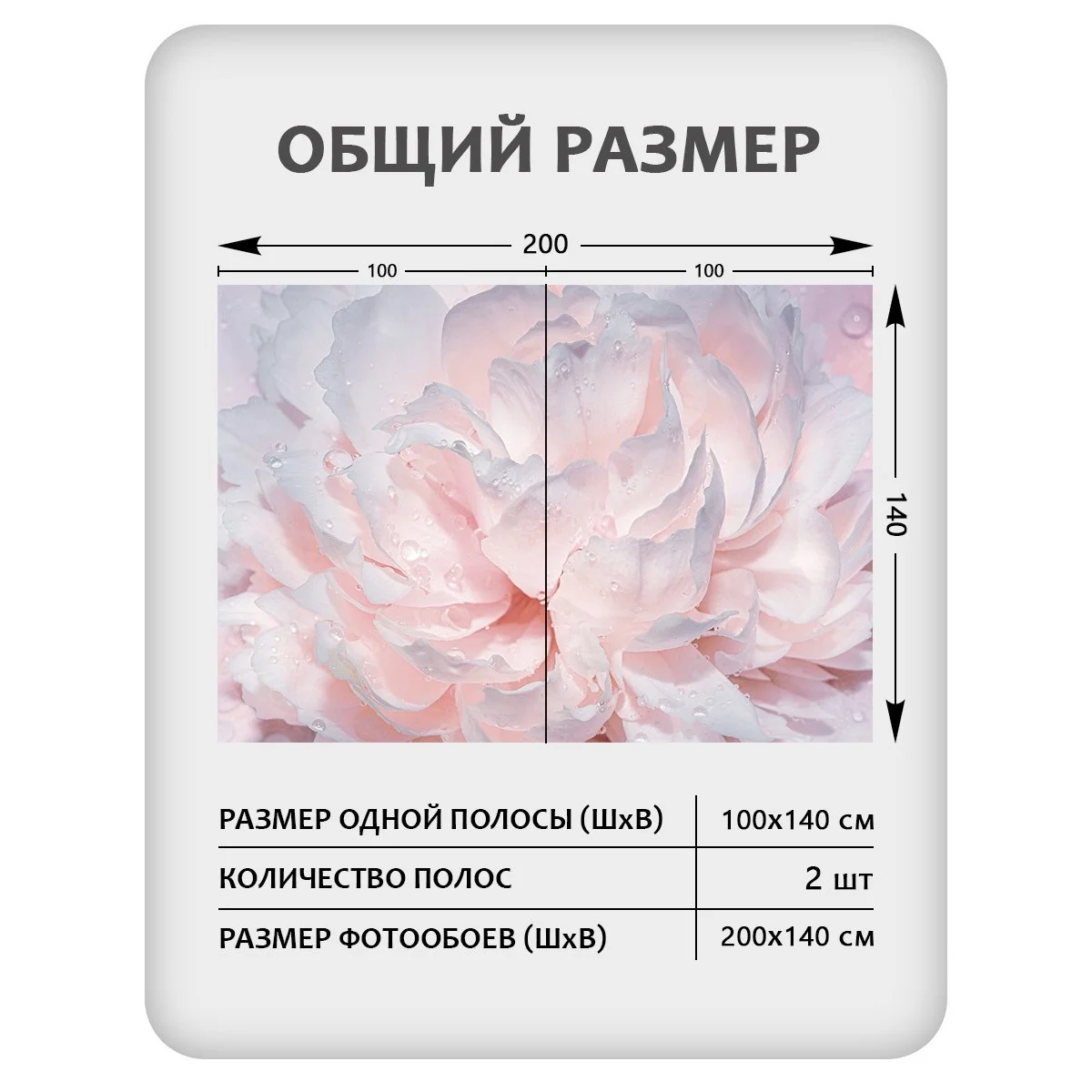 Фотообои рулонные Citydecor Цветы и Растения 40 на флизелиновой основе 200x140 см