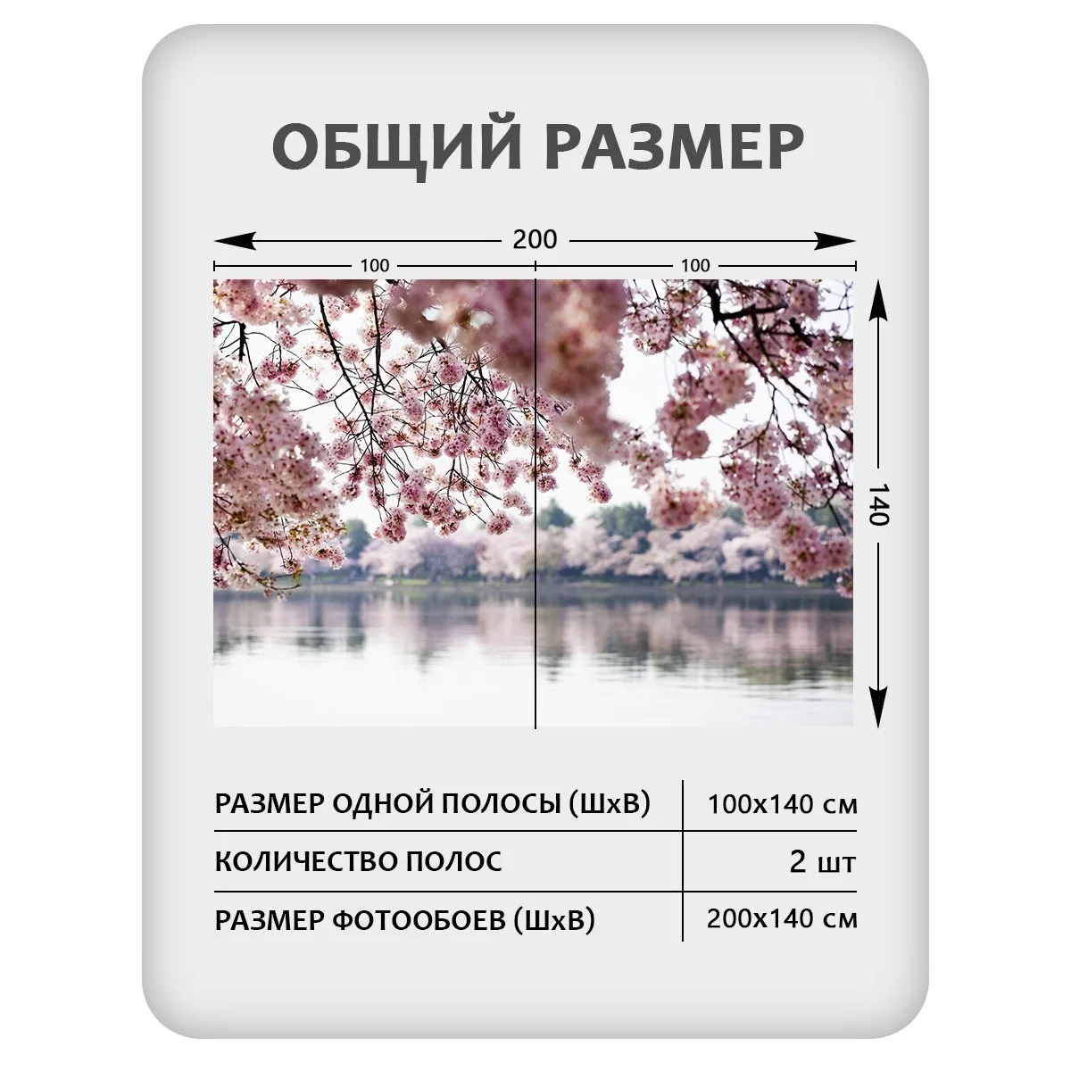 Фотообои рулонные Citydecor Цветы и Растения 49 на флизелиновой основе 200x140 см