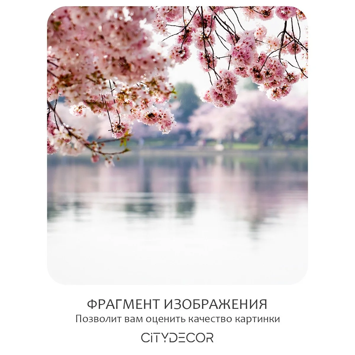 Фотообои рулонные Citydecor Цветы и Растения 49 на флизелиновой основе 200x140 см