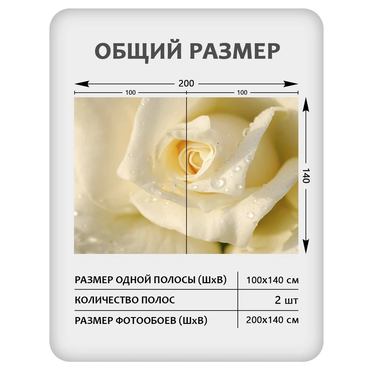 Фотообои рулонные Citydecor Цветы и Растения 65 на флизелиновой основе 200x140 см