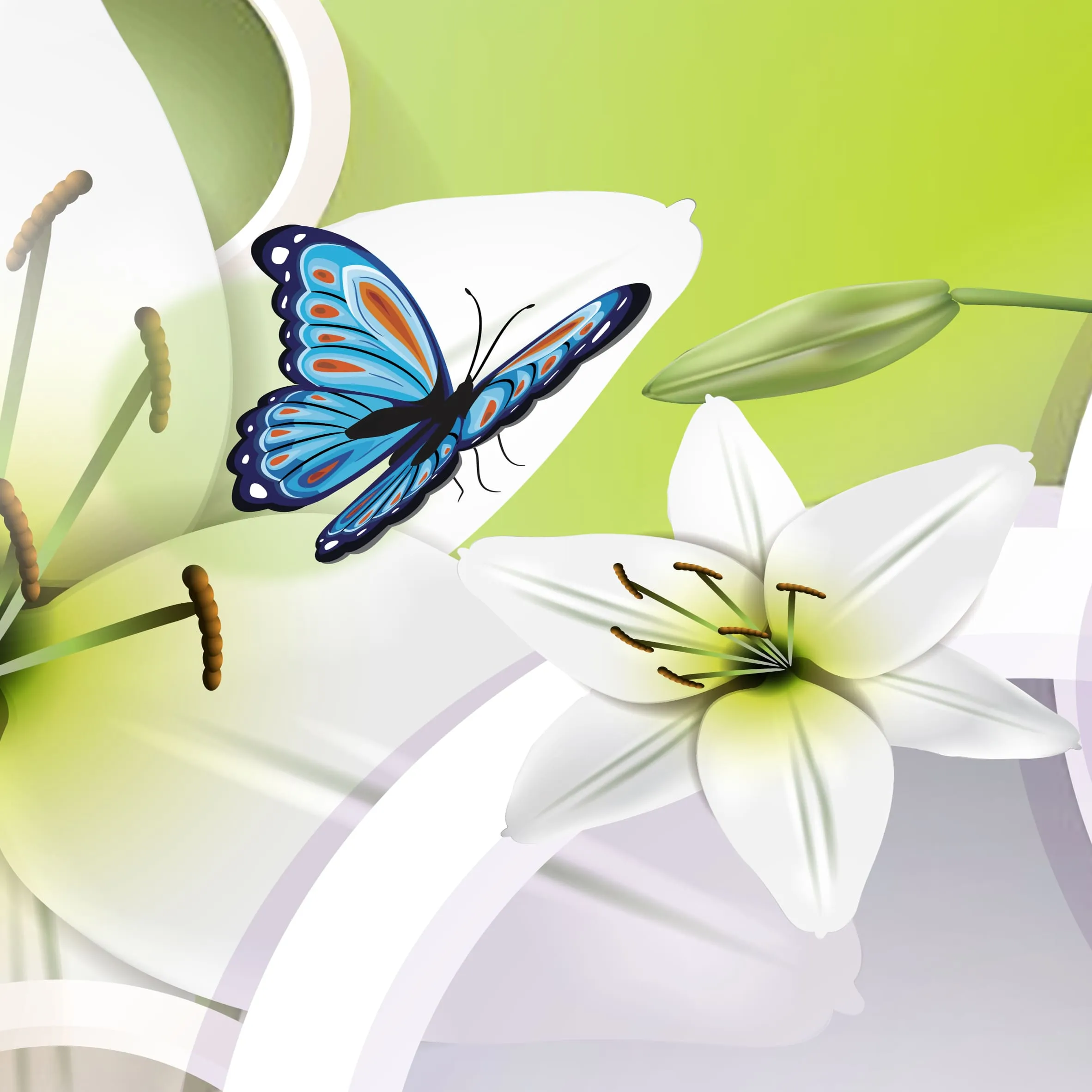 Фотообои рулонные Citydecor Круги 3D на флизелиновой основе 200x140 см