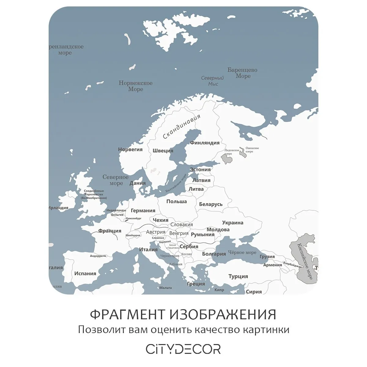 Фотообои рулонные Citydecor Карта мира 24 на флизелиновой основе 200x140 см